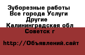 Зуборезные работы - Все города Услуги » Другие   . Калининградская обл.,Советск г.